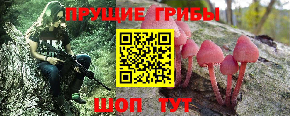 Псилоцибиновые грибы Psilocybine cubensis  Вход с VPN  купить наркотик  Псилоцибиновые грибы Cubensis  Ухта 